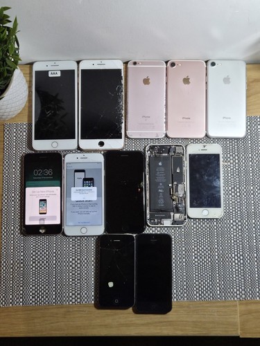 Job lot 12x - job, apple