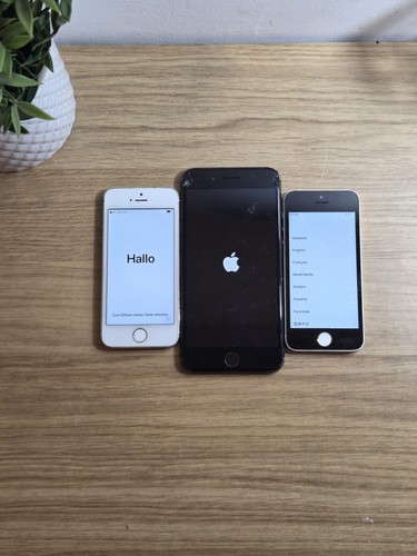 Job lot apple - lot, 3x